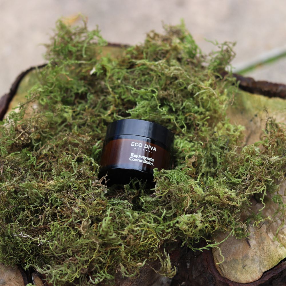 Rejuvenate Canna Balm | Hemp-Infused Superfood Balm for Skin