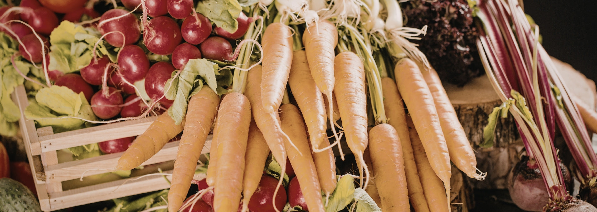 Gut Health & Wellness Food Trends in Hospitality 2026