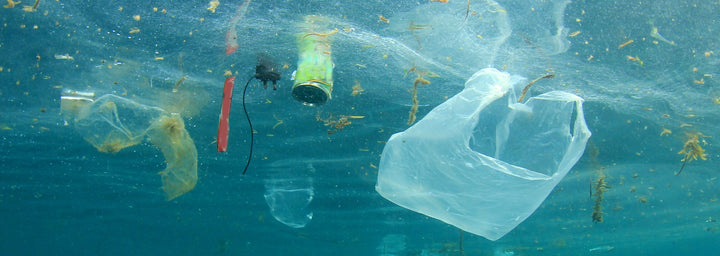 Plastic-Free July: Embracing Sustainability for a Healthier Planet