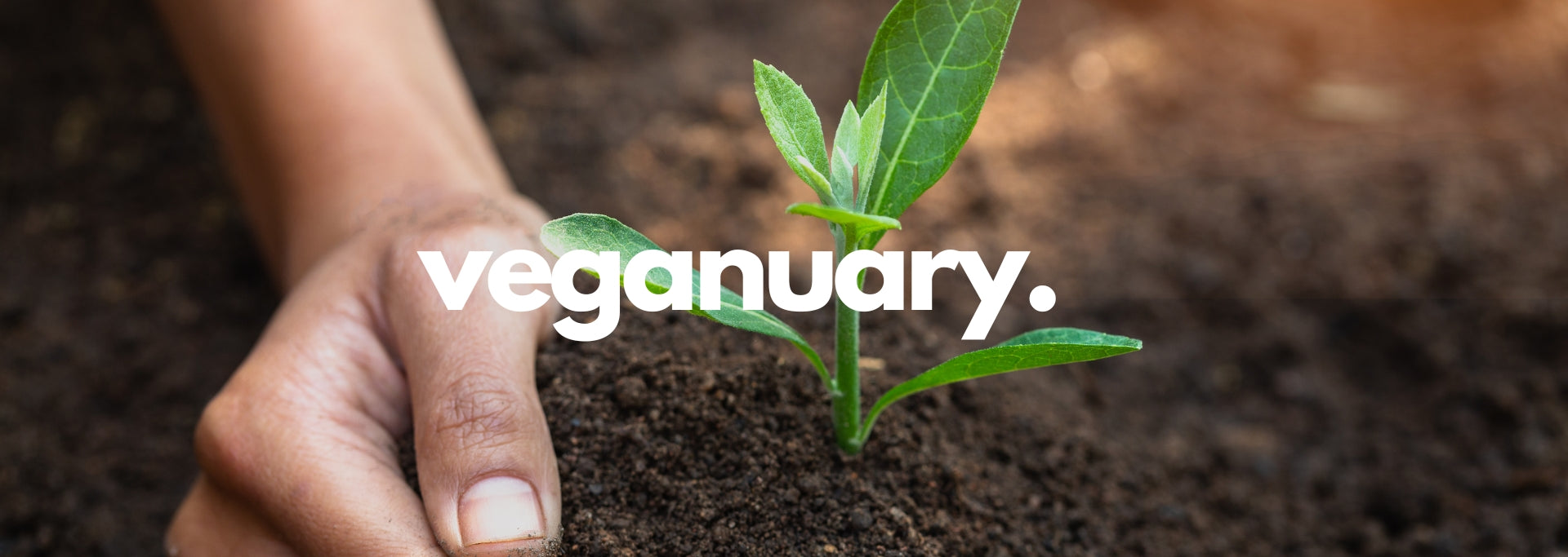 Veganuary- The What, Why, How and the Bounty of Nutrient-Rich, Organic Veggies